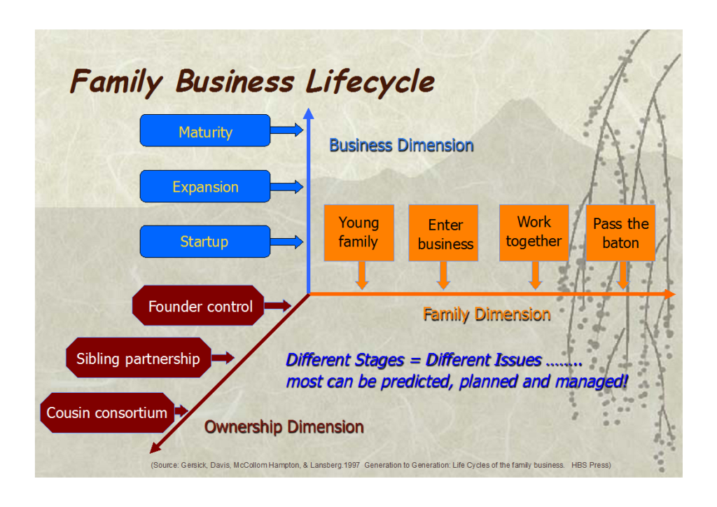 Family Business Needs - Family Business Lifecycle