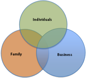 3-elements-model - The Solutionist Group