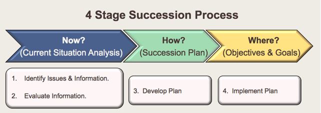 succession diagram