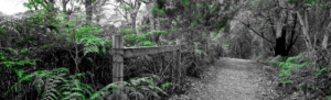 header-path-fence